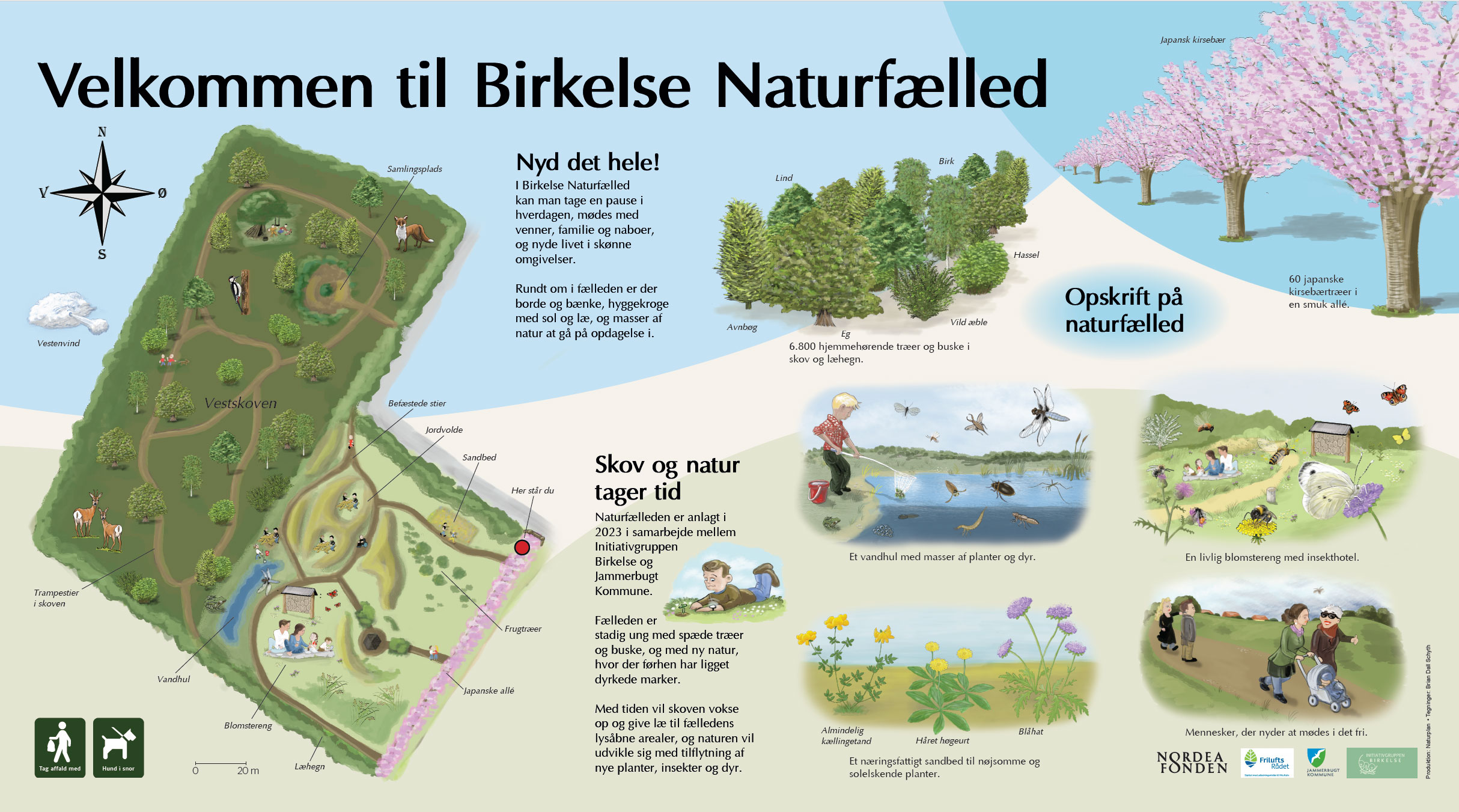 Velkomsttavle til Birkelse Naturfælled. Udarbejdet for Initiativgruppen Birkelse 2024. Illustrationer: Brian Dall Schyth.